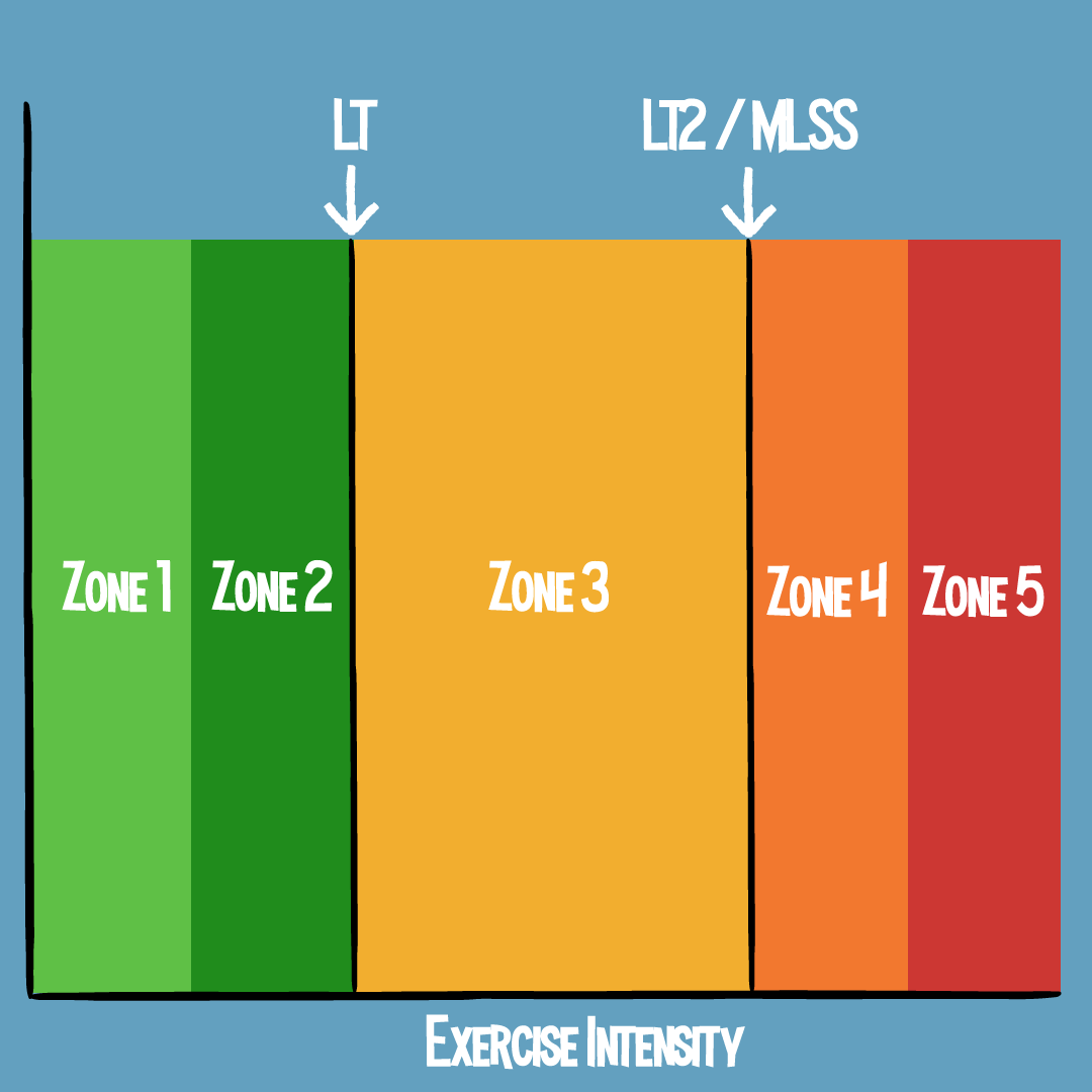 The 5 Zone Training Model