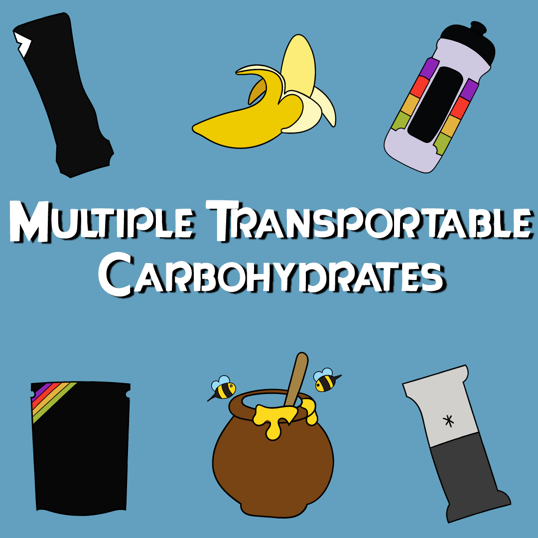 Multiple transportable carbohydrate