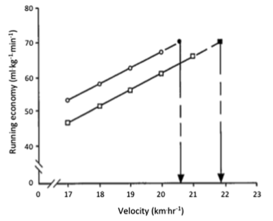 Running economy wins marathons