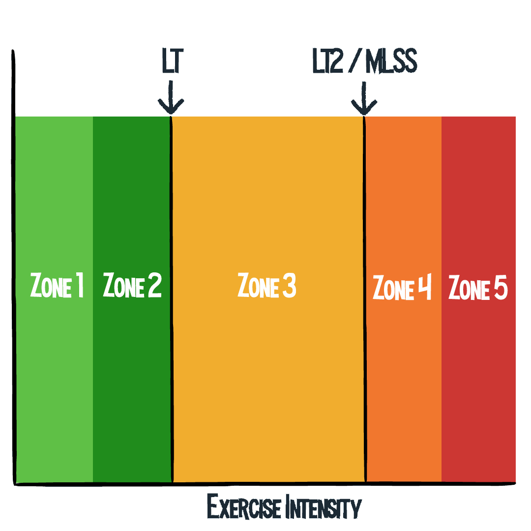 The 5 Zone Training Model