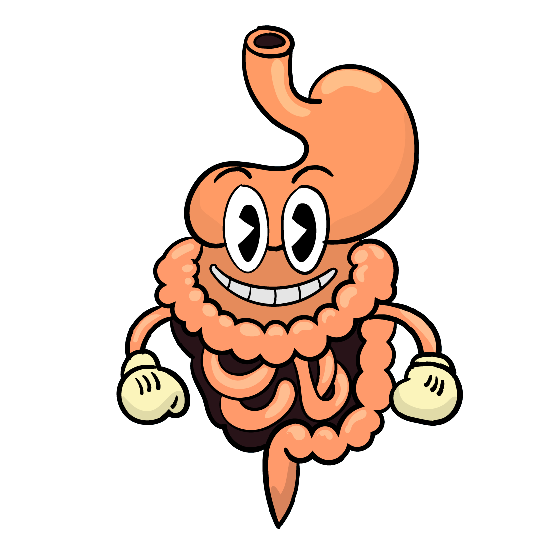 Training the gut