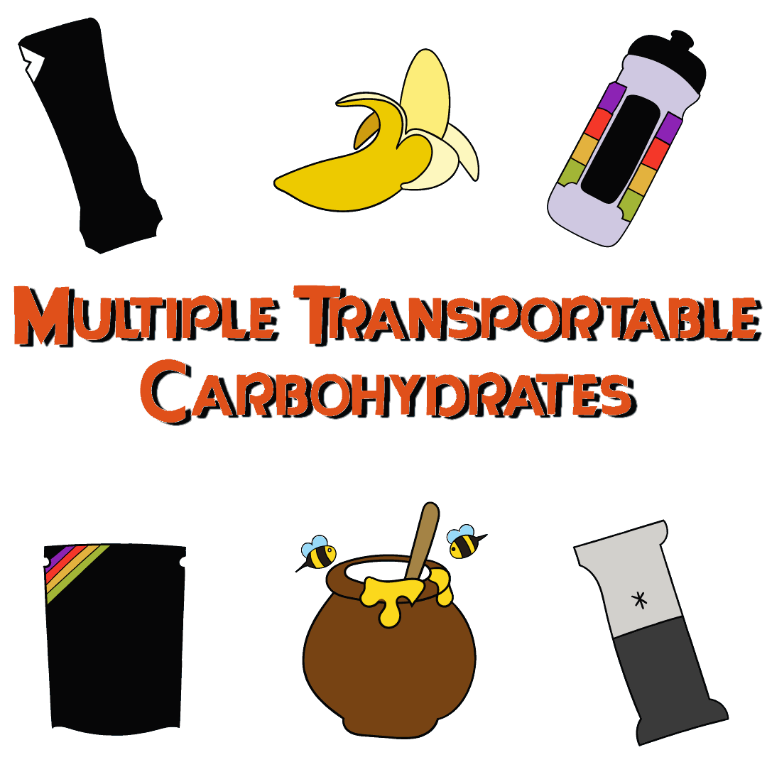 Multiple transportable carbohydrate